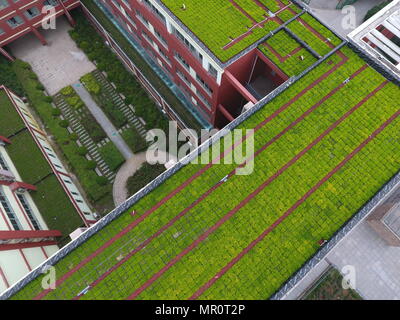 Zhengzh, Zhengzh, Cina. Xxiv Maggio, 2018. Zhengzhou, Cina-24Maggio 2018: il tetto verde può essere visto in Zhengzhou, centrale cinese della Provincia di Henan. Credito: SIPA Asia/ZUMA filo/Alamy Live News Foto Stock