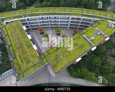 Zhengzh, Zhengzh, Cina. Xxiv Maggio, 2018. Zhengzhou, Cina-24Maggio 2018: il tetto verde può essere visto in Zhengzhou, centrale cinese della Provincia di Henan. Credito: SIPA Asia/ZUMA filo/Alamy Live News Foto Stock