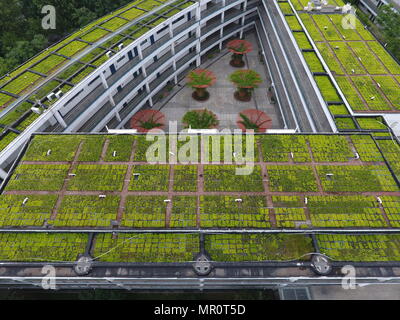 Zhengzh, Zhengzh, Cina. Xxiv Maggio, 2018. Zhengzhou, Cina-24Maggio 2018: il tetto verde può essere visto in Zhengzhou, centrale cinese della Provincia di Henan. Credito: SIPA Asia/ZUMA filo/Alamy Live News Foto Stock