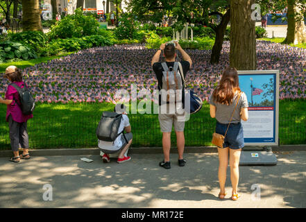 New York, Stati Uniti d'America, 25 maggio 2018. Centinaia di bandierine americane sono collocati sui veterani del prato per il Memorial Day al Madison Square Park di onorare oltre 100.000 soldati caduti, visto il Venerdì, 25 maggio 2018. La "caduta del soldato Giardino di bandiera' occupa due prati nel parco e ogni bandiera rappresenta 10 soldati con 10.000 bandiere piantate. L'installazione è stata creata dal Madison Square Park Conservancy e Credit Suisse e è a vista fino al 29 maggio. Credito: Richard Levine/Alamy Live News Foto Stock