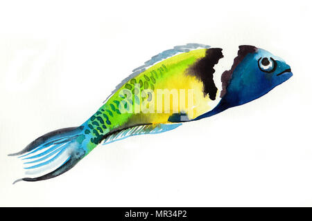 Acquerello pesci corallo Foto Stock