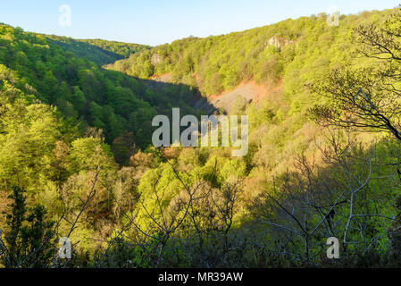 La Rift Valley in Soderasen parco nazionale in Svezia su una mattina di sole. Foresta di faggio coprire la valle e colline e alcuni scree è visibile sotto ripidi Foto Stock