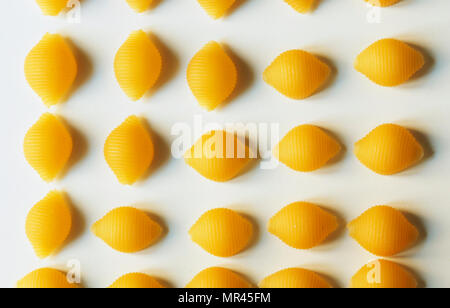 A forma di conchiglia - conchiglie-pasta ,ogni pezzo di pasta è ottenere in linea,la direzione della luce cast Una morbida ombra su sfondo bianco Foto Stock