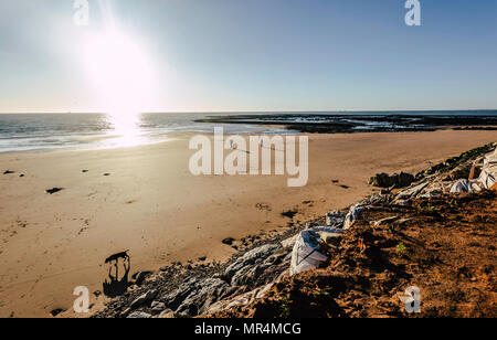 Due persone e cane a camminare lungo la spiaggia di Sanlúcar di Barrameda quando la marea è bassa Foto Stock