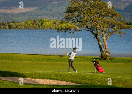 Lone golfer che gioca a golf al campo da golf Fossa Golf and Fishing Club presso il lago Lough Leane nel Killarney National Park, County Kerry, Irlanda Foto Stock