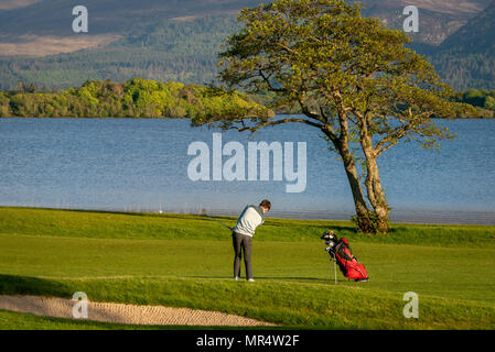 Lone golfer giocare a golf al Fossa Golf and Fishing Club presso il lago Lough Leane nel Killarney National Park, County Kerry, Irlanda Foto Stock