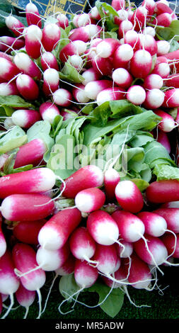 Rennes, Francia, 'diverse grappoli di rafano, sul display', al mercato del sabato mattina, Brittany. Ubicazione Marché des Lices, Halles centrale. Città Vecchia Sabato 26/12/2009 © Peter SPURRIER Foto Stock