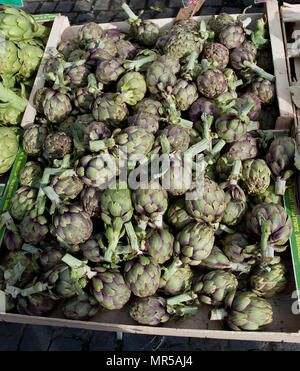 Rennes, Francia. Vista generale GV. Rennes settimanale mercato regionale. La Bretagna, "Carciofi, sul display', venduto da bancarelle all'aperto e il mercato coperto Sabato 26/04/2014 © Peter SPURRIER Foto Stock