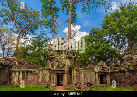 Il west gopura del Ta Prohm temple (Rajavihara) in Angkor, Siem Reap, Cambogia. Foto Stock