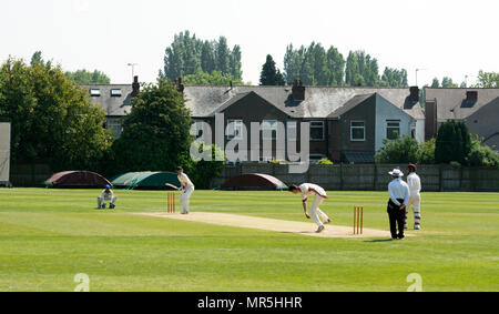 Università sport - Men's cricket, Coventry, Regno Unito Foto Stock