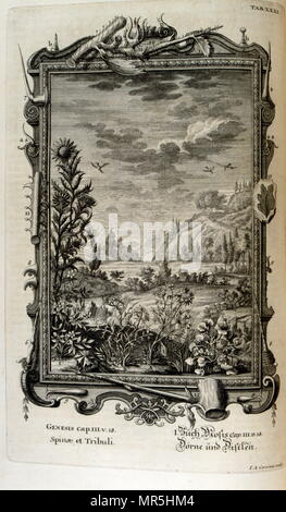 Incisione su rame da 'Physica Sacra' da studioso svizzero Johann Jakob Scheuchzer (1672 - 1733). Scheuchzer creduto il Vecchio Testamento è una rappresentazione fattuale della storia umana e naturale della vita. Physica Sacra è una raccolta di arte, scienza e spiritualità. Scheuchzer utilizza la Bibbia come un riferimento per descrivere il mondo naturale. Physica Sacra è anche noto come Kupfer-Bibel che si traduce in "Bibbia di rame." I bozzetti sono state fatte da Johann Melchior Fussli & un numero di intagliatori lavorato sulla compilazione. Originariamente pubblicato nel 1731, dispone di oltre 700 piastra di rame incisioni Foto Stock