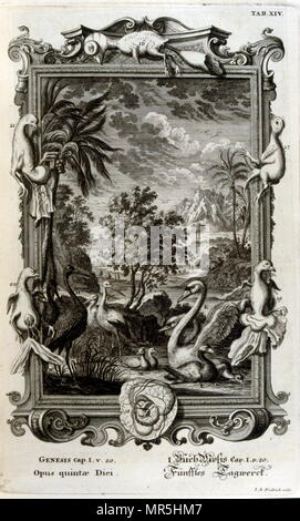 Incisione su rame da 'Physica Sacra' da studioso svizzero Johann Jakob Scheuchzer (1672 - 1733). Scheuchzer creduto il Vecchio Testamento è una rappresentazione fattuale della storia umana e naturale della vita. Physica Sacra è una raccolta di arte, scienza e spiritualità. Scheuchzer utilizza la Bibbia come un riferimento per descrivere il mondo naturale. Physica Sacra è anche noto come Kupfer-Bibel che si traduce in "Bibbia di rame." I bozzetti sono state fatte da Johann Melchior Fussli & un numero di intagliatori lavorato sulla compilazione. Originariamente pubblicato nel 1731, dispone di oltre 700 piastra di rame incisioni Foto Stock