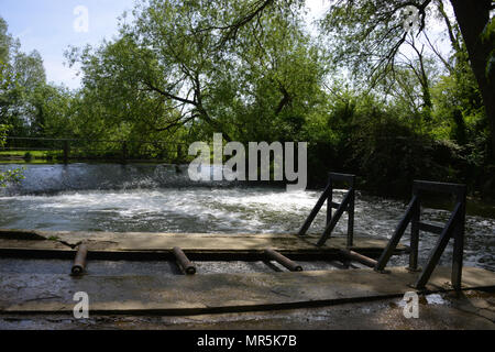 Uno stramazzo sul fiume Cherwell, Oxford come esso passa attraverso i parchi Universitari. I rulli in primo piano attiva sterline a passare in alto o downst Foto Stock