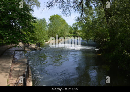 Uno stramazzo sul fiume Cherwell, Oxford come esso passa attraverso i parchi Universitari. Foto Stock