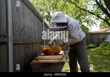 Tech. Sgt. Garrett Wright, XXII Operations Support Squadron sopravvivenza, Evasione, di resistenza e di fuga e di personale specializzato di recupero, ispeziona uno dei suoi alveari di ape Aprile 24, 2017 in Derby, Kan. Wright ha iniziato l'apicoltura lo scorso anno e ora dispone di cinque diverse arnie nel suo cortile. (U.S. Air Force foto/Airman 1. Classe Erin McClellan) Foto Stock