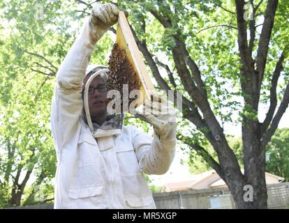 Tech. Sgt. Garrett Wright, XXII Operations Support Squadron sopravvivenza, Evasione, di resistenza e di fuga e di personale specializzato di recupero, ispeziona uno dei suoi alveari di ape Aprile 24, 2017 in Derby, Kan. Wright, che è una scienza ambientale principali interessati all' impatto le api da miele e altri insetti hanno sull'ambiente. (U.S. Air Force foto/Airman 1. Classe Erin McClellan) Foto Stock