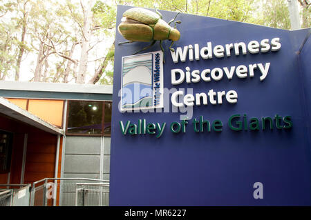 WALPOLE, Australia - 20 Febbraio 2018: popolare sito turistico che permette alle persone di salire in alto nella alti alberi tramite ponti di collegamento Foto Stock