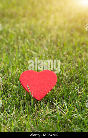 Cuore rosso sull'erba verde sfondi con spazio di copia Foto Stock