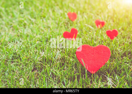 Cuore rosso sull'erba verde sfondi con spazio di copia Foto Stock
