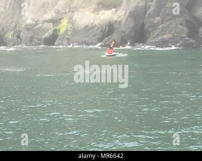 San Francisco Fire membri del dipartimento a bordo di un jet ski assistere un distressed nuotatore vicino a China Beach, 20 maggio 2017, Sabato. Stazione della Guardia costiera Golden Gate e San Francisco Fire Department salvato 2 nuotatori ipotermico. (Coast Guard foto di Sottufficiali di seconda classe Garrett Henderson). Foto Stock