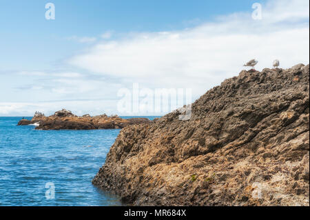 Newport, Oregon, spiaggia di ciottoli intertidal rocce sono luoghi di sbarco per le foche e uccelli. Foto Stock