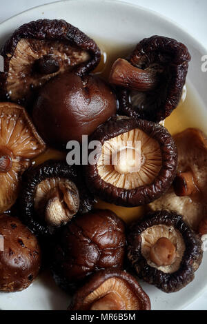 Macro di overhead shot imbevuto di funghi siitake nella ciotola bianco Foto Stock