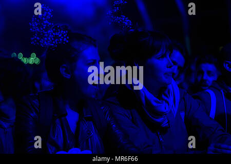 Folla guardando un concerto presso il festival di musica Foto Stock