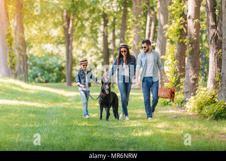Giovani interracial famiglia con cane tenendo le mani e passeggiate nella foresta di sole Foto Stock