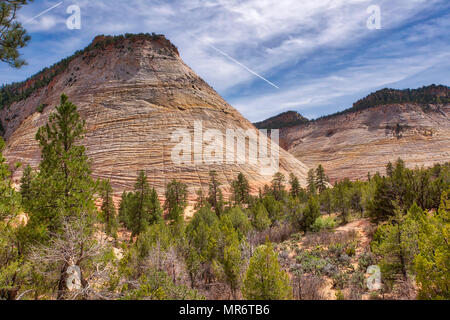 La Checkerboard Mesa vicino all'ingresso est nel Parco Nazionale di Zion Foto Stock