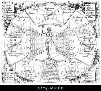 Grafico zodiacale che mostra le influenze dei pianeti e costellazioni sugli organi del corpo. Risalenti al XVII secolo Foto Stock