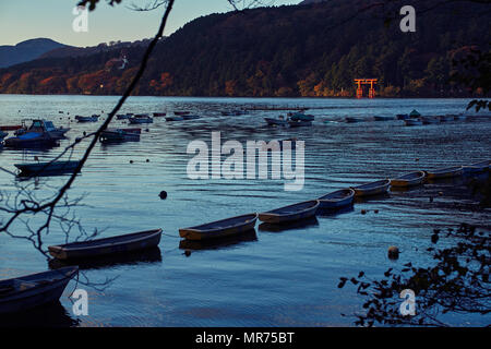 Santuario di Hakone Torii cancello sul Lago Ashi Foto Stock