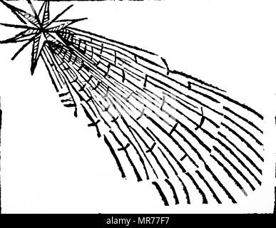 Woodblock incisione raffigurante la luminosa stella cometa di luglio 1299. Datata xv secolo Foto Stock