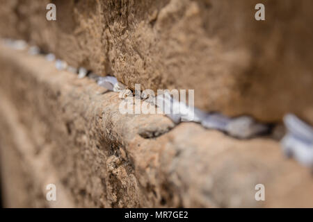 Note a Dio nelle fessure tra i mattoni della parete occidentale nella città vecchia di Gerusalemme in Israele. Foto Stock