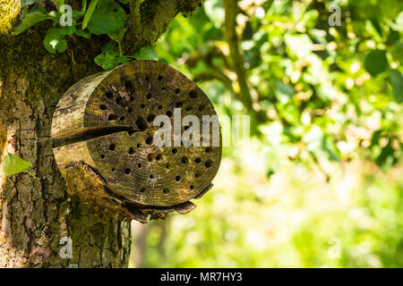 Man-made hotel insetto in una foresta verde. Una struttura creata da materiali naturali destinati a fornire un riparo e la conservazione per gli insetti. Foto Stock