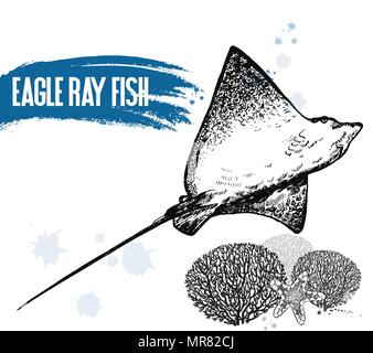 Disegnato a mano stile sketch eagle ray isolati su sfondo bianco. Illustrazione Vettoriale. Illustrazione Vettoriale