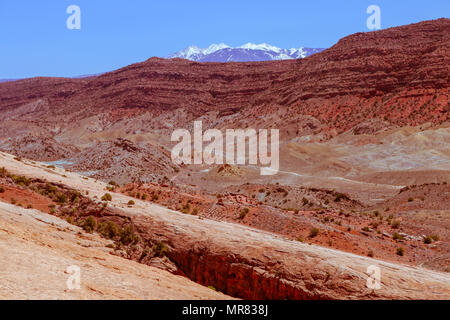 Il paesaggio della valle del deserto rosso presso il Parco Nazionale degli Arches, Moab, Utah Foto Stock