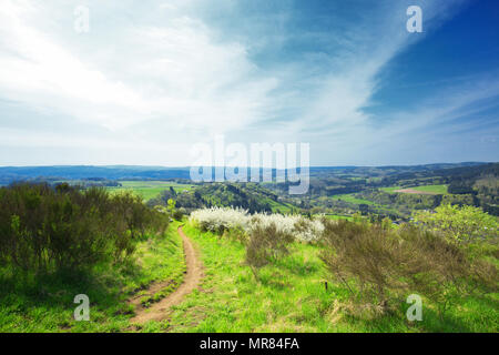 Tedesco paesaggio Eifel in primavera nei pressi di Roth e Gerolstein con la fioritura di sloe, Prunus spinosa fresco verde erba e vistas contro Sky con il cloud Foto Stock