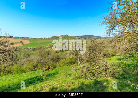 Orchard sui pendii del paesaggio di primavera in tedesco la regione Eifel vicino a Gerolstein con prati verdi contro un cielo blu con nuvole velo Foto Stock