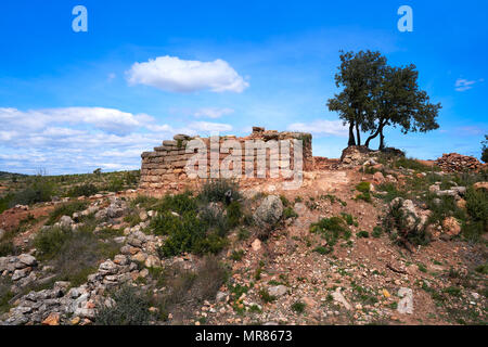A Torrejon de Gatova rovine di iberici in Spagna dal V al II secolo prima di Cristo Foto Stock