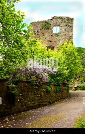 Un castello medioevale di circa 1138, ancora parzialmente intatto dopo secoli di unione meteo, qui in Monmouthshire, Galles Foto Stock