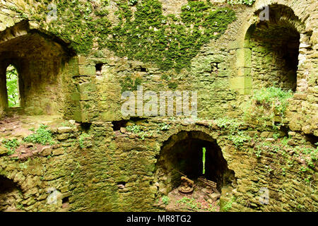 Un castello medioevale di circa 1138, ancora parzialmente intatto dopo secoli di unione meteo, qui in Monmouthshire, Galles Foto Stock