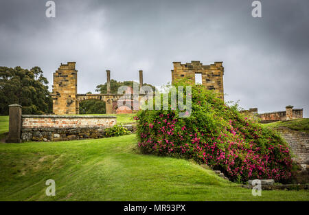 Giardini e fogliame presso l'insediamento di Port Arthur in Tasmania Australia Foto Stock