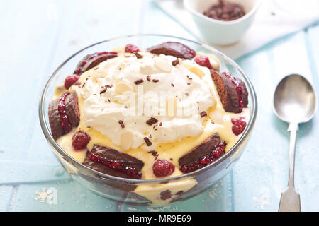 Zuppa di natale con involtino di cioccolato e confettura di lamponi, crema di lamponi freschi e della crema di latte Foto Stock