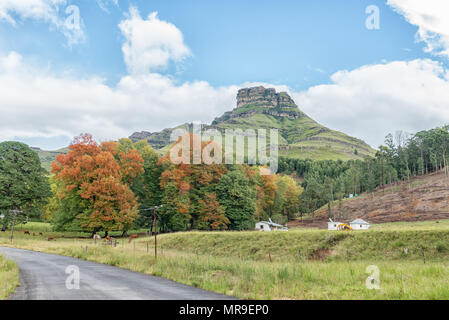 Un autunno farm in orizzontale sul P317-strada per il castello di giardino nel Drakensberg Underberg vicino Foto Stock