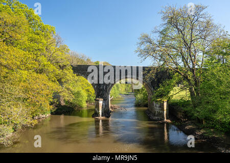 Ponte stradale sul fiume Torridge vicino a Torrington in Devon Foto Stock