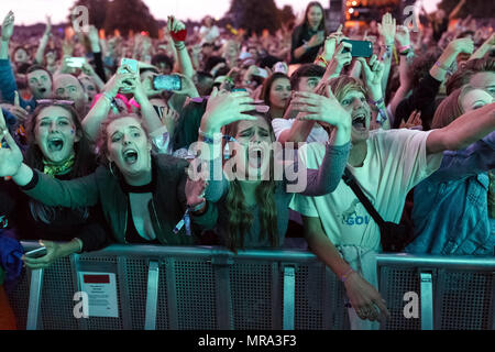 Fanatici appassionati di musica a fare il tifo per il 1975 al Festival Latitude 2017. Henham Park, Suffolk, Regno Unito. Il 1975 ventole, musica, fangirls teenage appassionati di musica. Foto Stock