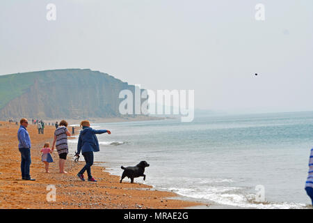 Il Dorset, Regno Unito, 26 maggio 2018. Regno Unito Meteo. Le persone in vacanza a West Bay nel Dorset su una banca può week-end di vacanza in un posto molto umido e giornata di sole. Robert Timoney/Alamy/live/News Foto Stock