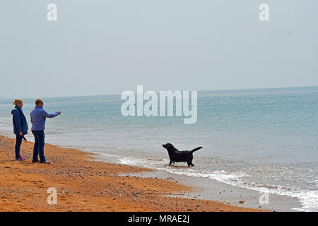 Il Dorset, Regno Unito, 26 maggio 2018. Regno Unito Meteo. Le persone in vacanza a West Bay nel Dorset su una banca può week-end di vacanza in un posto molto umido e giornata di sole. Robert Timoney/Alamy/live/News Foto Stock