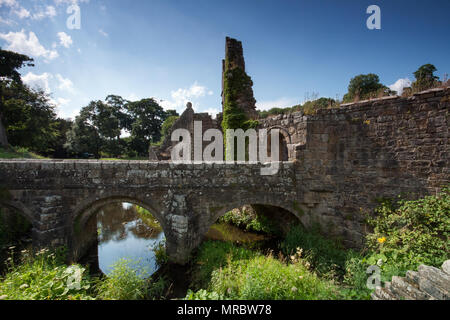 Rovine del monastero di Fountains Abbey, Ripon, Regno Unito Foto Stock