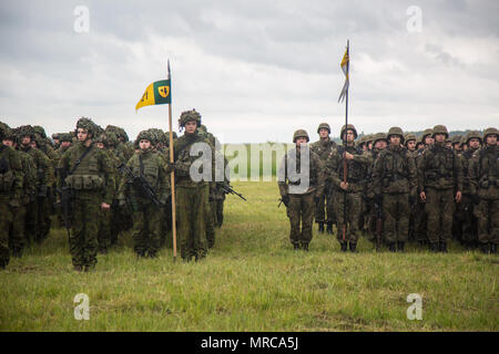 Il lituano e soldati polacchi stand in formazione durante lo sciopero di Saber 2017 alla cerimonia di apertura per le Bemowo Piskie Area Formazione, Bemowo Piskie, Polonia, Giugno 5, 2017. La Saber Strike esercizio facilita la collaborazione e migliora il comune di capacità operative in una varietà di missioni e prepara le nazioni partecipanti e le unità per le operazioni future e migliorare al contempo la NATO. (U.S. Esercito foto di Spc. Stefan inglese) Foto Stock